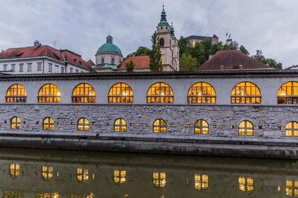 Plecnik Edificio Del Mercado Arcade Que Refleja Río Liubliana Liubliana — Foto de Stock