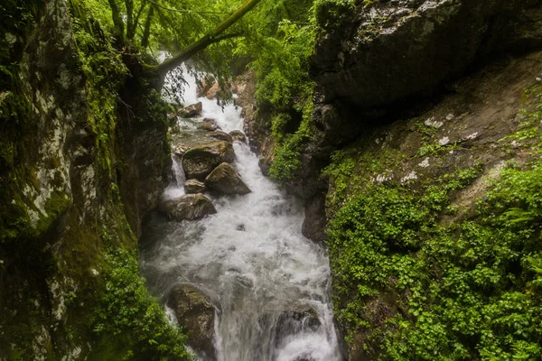 Tolmin Gorges Tolminska Korita Slovenya — Stok fotoğraf