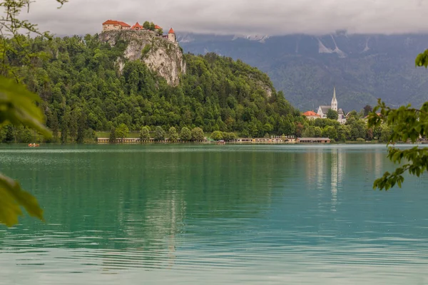 Slovenya Blejski Mezunu Kanlı Kale — Stok fotoğraf