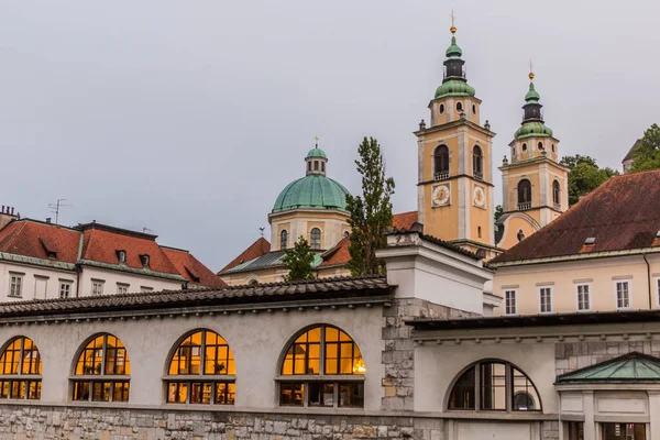 Rynek Zręcznościowy Plecniku Katedra Lublanie Słowenia — Zdjęcie stockowe