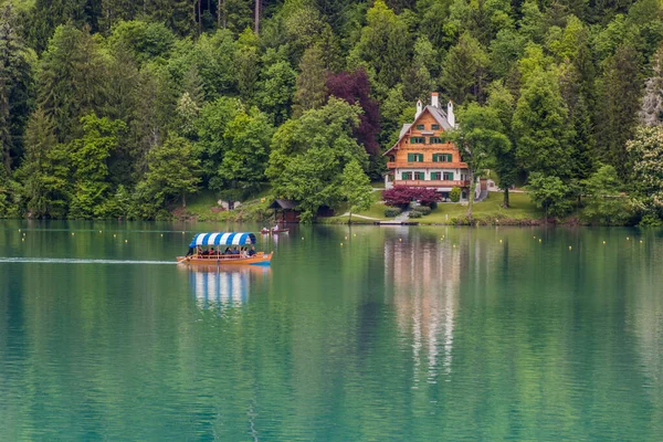 Bled Słowenia Maj 2019 Żeglarstwo Nad Jeziorem Bled Słowenia — Zdjęcie stockowe