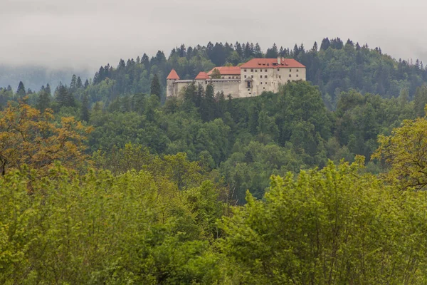 Blejski Grad Kasteel Van Bled Slovenië — Stockfoto