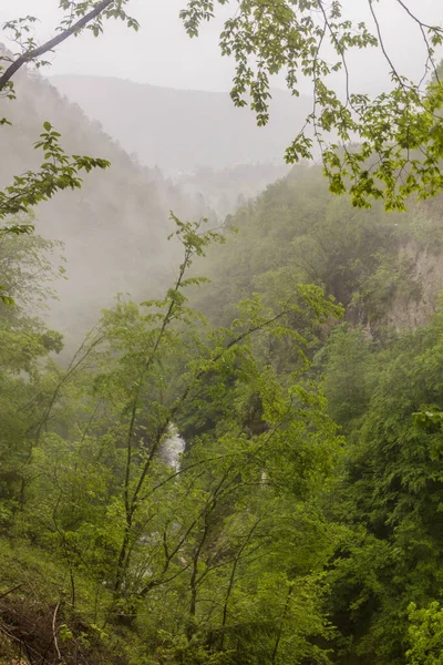 Misty Forest Tolmin Gorges Tolminska Korita Slovenia — Fotografia de Stock