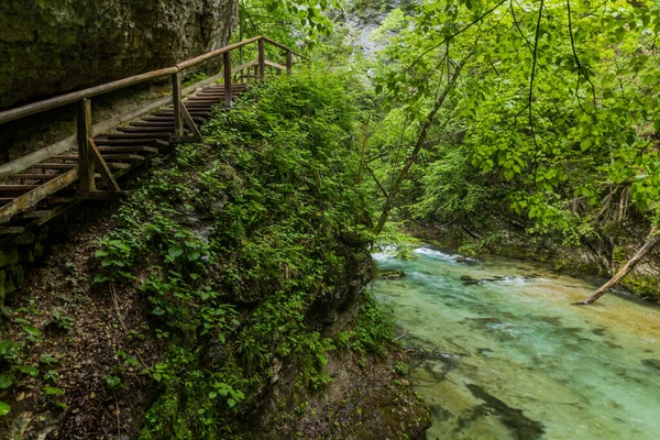 Река Радовна Винтгарском Ущелье Близ Бледа Словения — стоковое фото