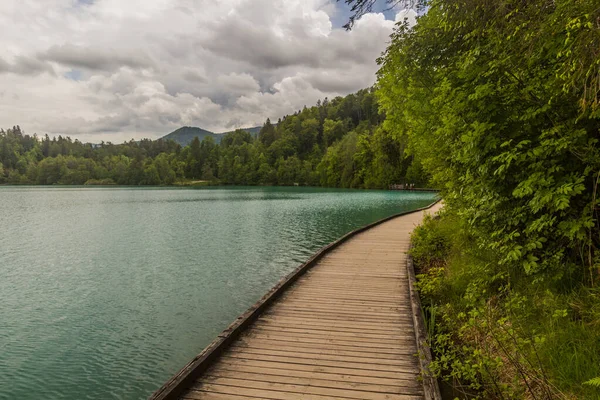 Cesta Podél Jezera Bled Slovinsko — Stock fotografie
