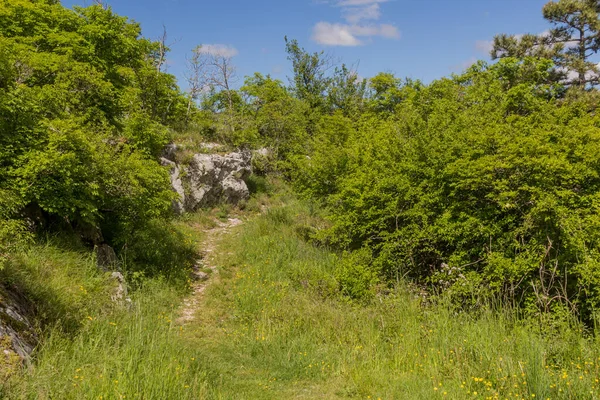 Sentier Randonnée Près Des Grottes Skocjan Slovénie — Photo