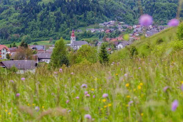 Vista Del Pueblo Spodnje Gorje Cerca Bled Eslovenia —  Fotos de Stock