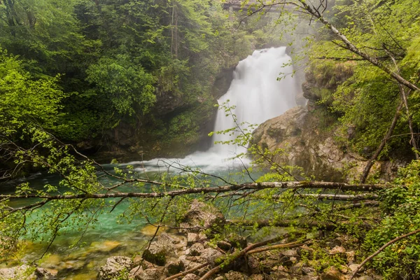 Slap Sum Waterfall Vintgar Gorge Bled Slovenia — Zdjęcie stockowe