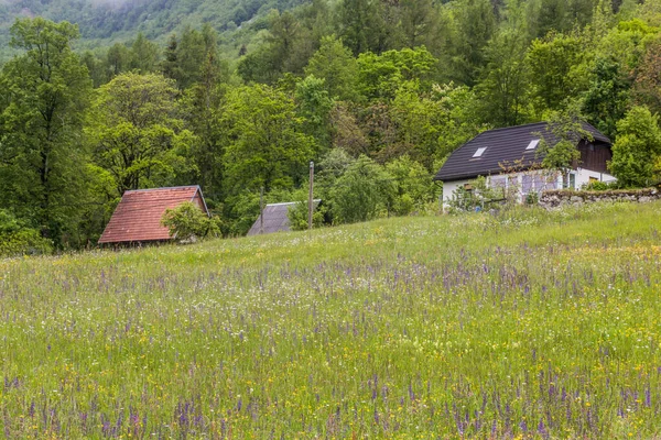 Prado Casas Pueblo Bovec Eslovenia — Foto de Stock