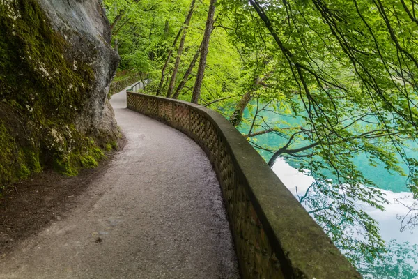 Cesta Podél Jezera Bled Slovinsko — Stock fotografie