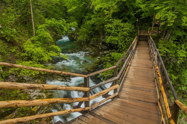 Promenade Dans Gorge Vintgar Près Bled Slovénie — Photo