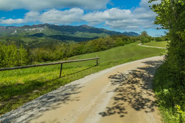 スロベニアのプレダーマ城近くの農村道路 — ストック写真
