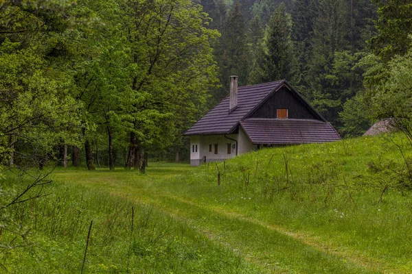 Maison Dans Vallée Rivière Soca Près Village Bovec Slovénie — Photo