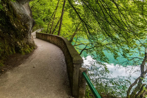 Chemin Long Lac Bled Slovénie — Photo