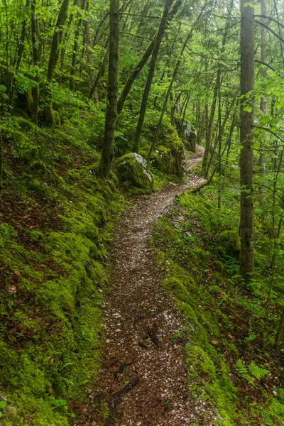 Wanderweg Soca Tal Der Nähe Des Dorfes Bovec Slowenien — Stockfoto