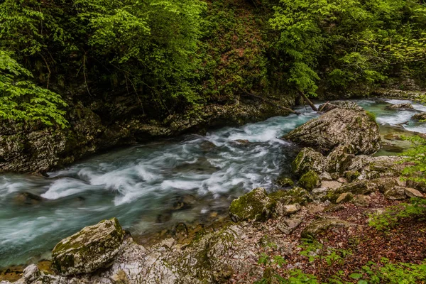 River Radovna Vintgar Gorge Bled Slovenia — Stock Photo, Image