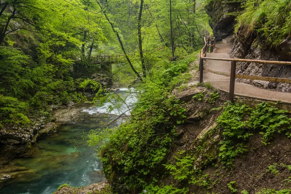 Vintgar Gorge Bled Slovenia — Stock Photo, Image