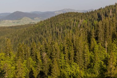 Durmitor ulusal parkının manzarası, Karadağ