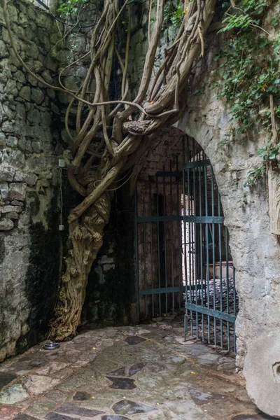 Gate Ancient Settlement Stari Bar Montenegro — Stock Photo, Image