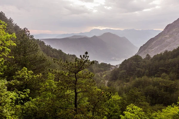 Landscape Lovcen National Park Montenegro — Stock Photo, Image