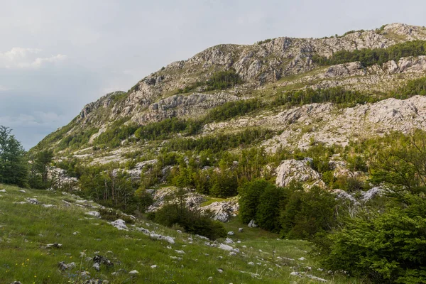 Landscape Lovcen National Park Montenegro — Foto Stock