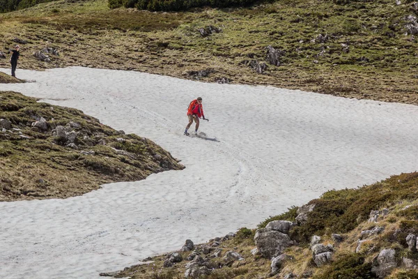 Durmitor Montenegro Junho 2019 Caminhante Que Gosta Neve Parque Nacional — Fotografia de Stock