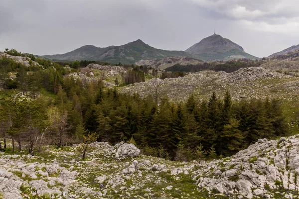 Landscape Lovcen National Park Montenegro — Zdjęcie stockowe