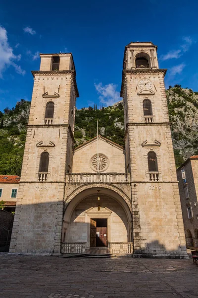 Katedrála Svatého Tryfa Starém Městě Kotor Černá Hora — Stock fotografie