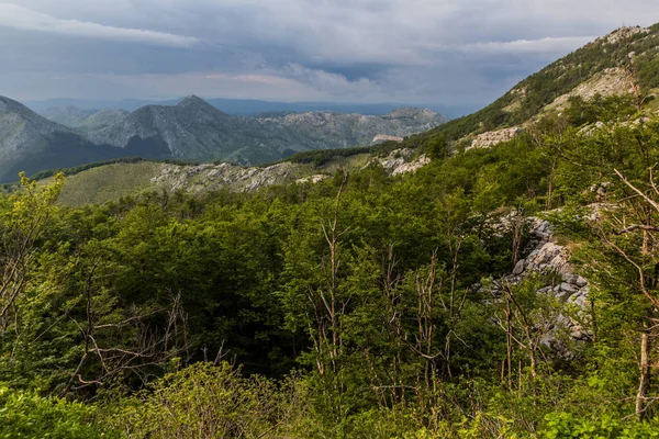 Parque Nacional Del Lovcen Montenegro — Foto de Stock