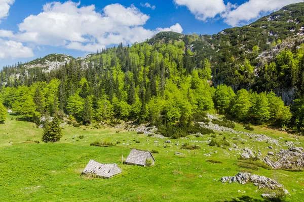 Ξύλινες Καλύβες Στο Εθνικό Πάρκο Durmitor Μαυροβούνιο — Φωτογραφία Αρχείου