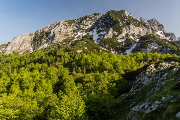 Mali Meded Montaña Las Montañas Durmitor Montenegro —  Fotos de Stock