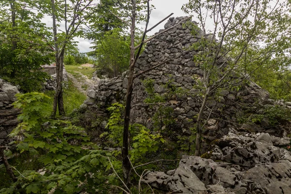 Stone Ruins Lovcen National Park Montenegro — Stockfoto