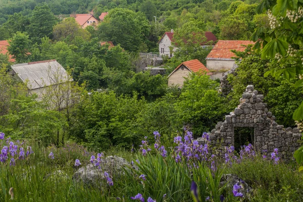 Karadağ Bjelosi Köyü Manzarası — Stok fotoğraf