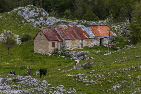 Сельский Дом Национальном Парке Ловчен Черногория — стоковое фото