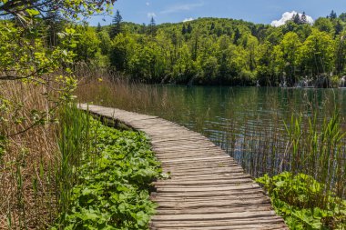 Boardwalk in Plitvice Lakes National Park, Croatia