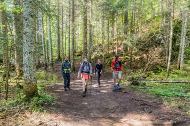 DURMITOR, MONTENEGRO - 6 Haziran 2019: Durmitor Ulusal Parkı, Karadağ 'da yürüyüş grubu.