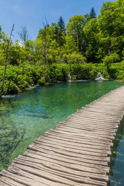 Boardwalk in Plitvice Lakes National Park, Croatia