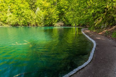 Path in Plitvice Lakes National Park, Croatia
