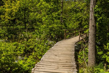 Boardwalk in Plitvice Lakes National Park, Croatia