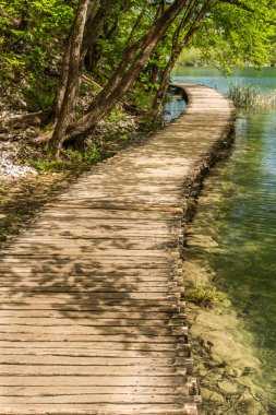 Boardwalk in Plitvice Lakes National Park, Croatia