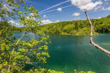 Kozjak lake in Plitvice Lakes National Park, Croatia