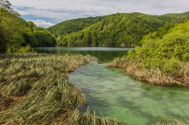 Kozjak lake in Plitvice Lakes National Park, Croatia