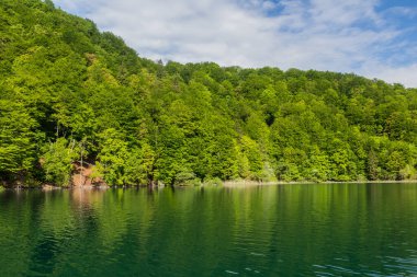Kozjak lake in Plitvice Lakes National Park, Croatia