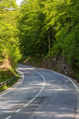 Road number 1 near Plitvice lakes, Croatia