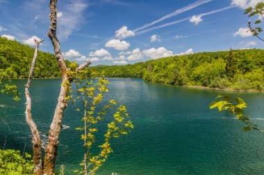 Kozjak lake in Plitvice Lakes National Park, Croatia