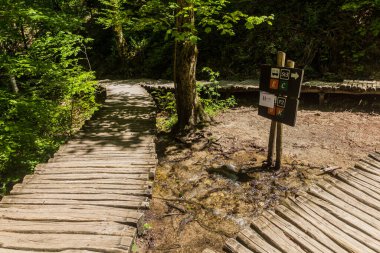 Boardwalks in Plitvice Lakes National Park, Croatia