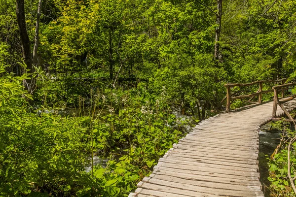 Promenade Dans Parc National Des Lacs Plitvice Croatie — Photo