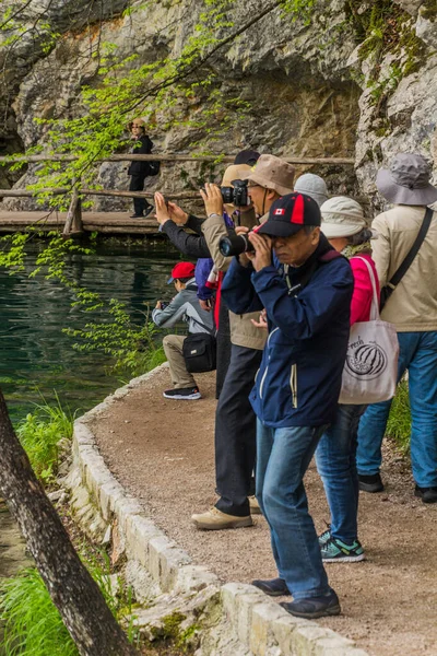 Plitvice Croatia May 2019 Tourists Taking Photos Plitvice Lakes National — стоковое фото