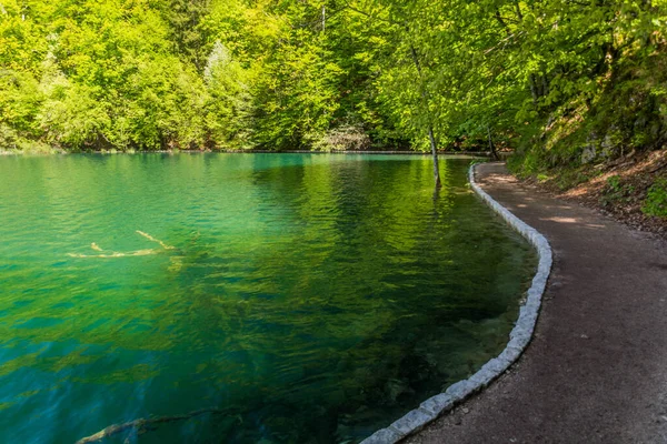 Path Plitvice Lakes National Park Croatia — стоковое фото