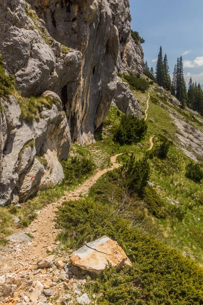 Szlak Turystyczny Górach Durmitor Czarnogóra — Zdjęcie stockowe